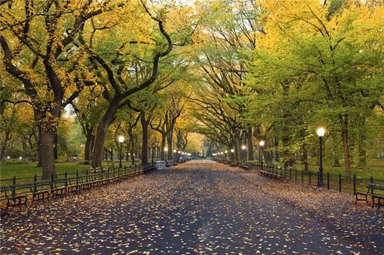 Công viên Trung tâm (New York, Mỹ): Nằm trong Công viên Trung tâm ở New York. Hoàng hôn đi dạo ở đây thật không còn gì tuyệt vời hơn.