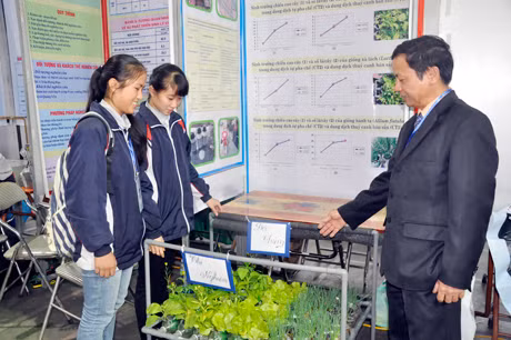 Dự án nghiên cứu trồng rau thuỷ canh trên đảo xa bằng dung dịch tự pha chế, thân thiện với môi trường của học sinh Trường THPT Chuyên Hạ Long (TP Hạ Long) là 1 trong 12 dự án được lựa chọn để thuyết trình