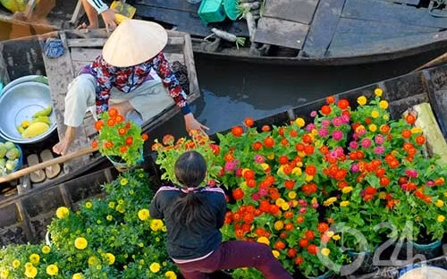 "Đóng góp nhiều nhất vào GDP lại chính là thành phần kinh tế cá thể, với trên dưới 32% từ 2007 - 2013. Cấu trúc này không hề thay đổi trong suốt 7 - 8 năm nay".