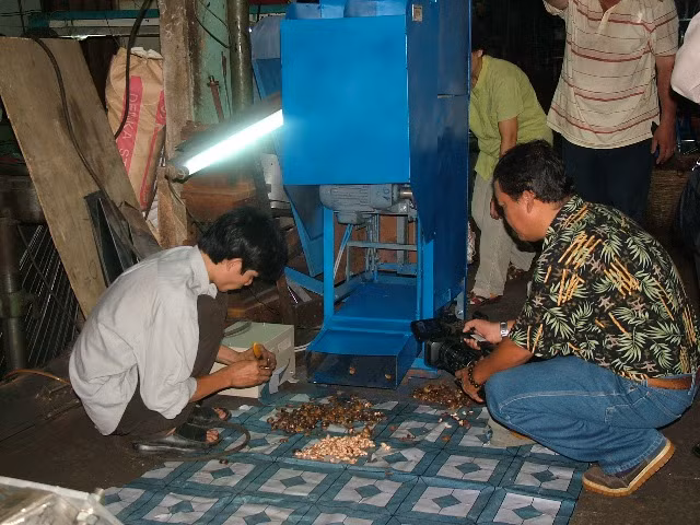 Công nghệ chế biến điều VN rất đơn giản, nhưng nhiều nước châu Phi thèm muốn