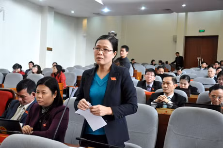 ĐB Đỗ Thị Lan, Tổ ĐB Ba Chẽ tham gia phát biểu thảo luận tại hội trường