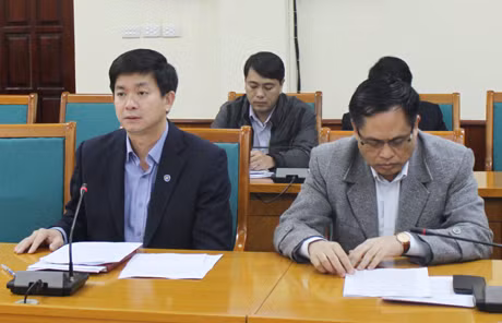 Đồng chí Lê Quang Tùng, Phó Chủ tịch UBND tỉnh phát biểu tại buổi làm việc.