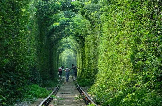 Đường ngầm Tình Yêu phiên bản Nam Kinh (Trung Quốc): Thành phố Nam Kinh cũng có một đoạn đường sắt vài trăm mét hai bên cây xanh mọc um tùm, là một trong những điểm chụp ảnh cưới rộn ràng nhất nơi đây.