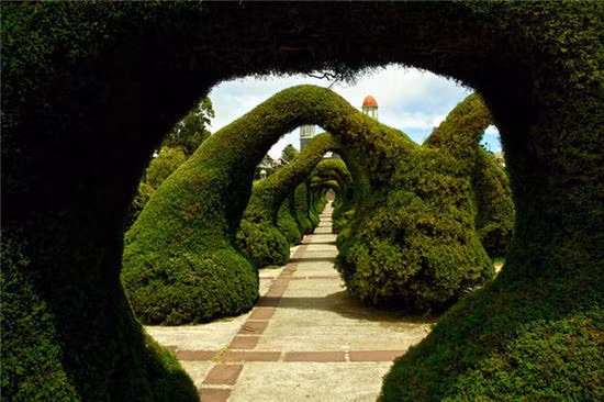 Công viên Parque Francisco Alvarado (Costa Rica): Công viên thú vị này nằm ở trước nhà thờ Zarcero, Costa Rica. Du khách đến đây sẽ có cảm giác như lạc vào thế giới thần thoại. 