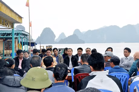Lãnh đạo Ban Quản lý Vịnh Hạ Long và đại diện một số đơn vị liên quan đã gặp gỡ, vận động, tuyên truyền với một số hộ nhà bè neo đậu trái phép tại khu vực Hoa Cương...