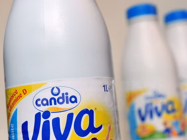  Sản phẩm sữa của hãng Canida được bày bán tại Nantes (Pháp). (Nguồn: AFP/TTXVN)