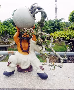Độc đáo với bộ tác phẩm La Hán.