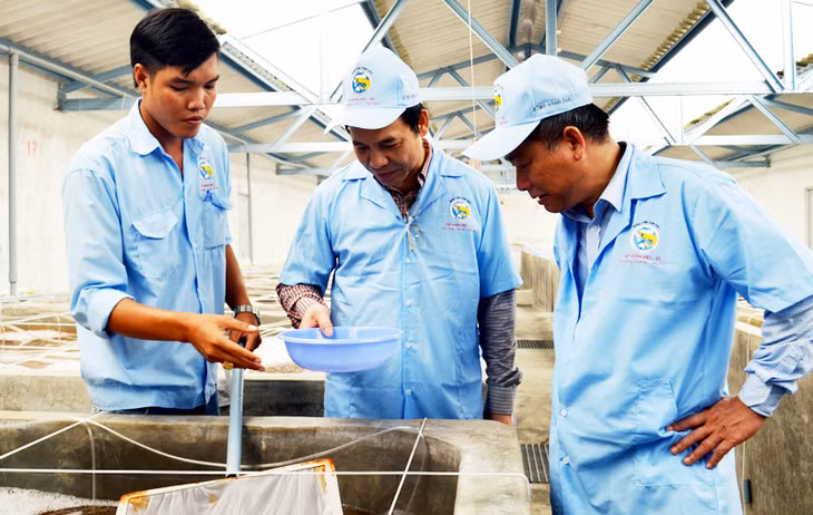 Đồng chí Đặng Huy Hậu, Phó Chủ tịch Thường trực UBND tỉnh thăm Trung tâm Sản xuất giống tôm tại tỉnh Bạc Liêu của Tập đoàn Việt Úc.