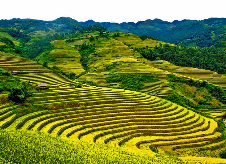 Bình Liêu được ví như là “Sa Pa thu nhỏ”, với ruộng bậc thang hữu tình, thơ mộng.
