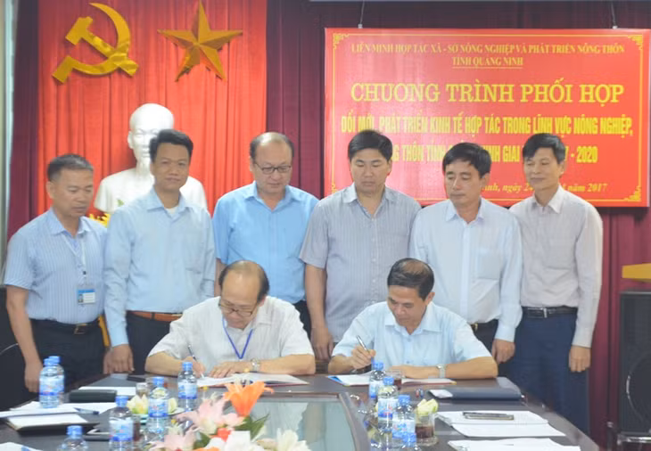 Lãnh đạo Liên minh HTX tỉnh và Sở NN&PTNT tỉnh ký kết chương trình phối hợp phát triển kinh tế nông nghiệp, nông thôn giai đoạn 2017-2020