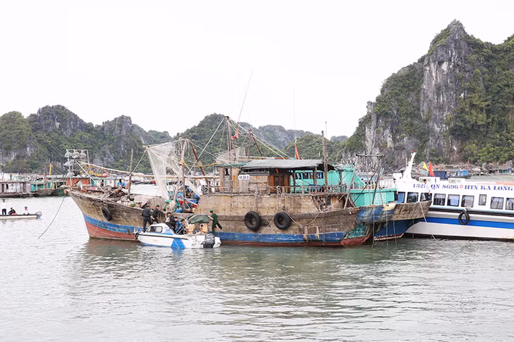 Đối với các tàu cố tình không di chuyển, nhường vị trí mặt nước cho tàu khách, huyện đã chỉ đạo các lực lượng chức năng liên quan, thực hiện cưỡng chế, di chuyển tàu tới vị trí neo đậu mới.