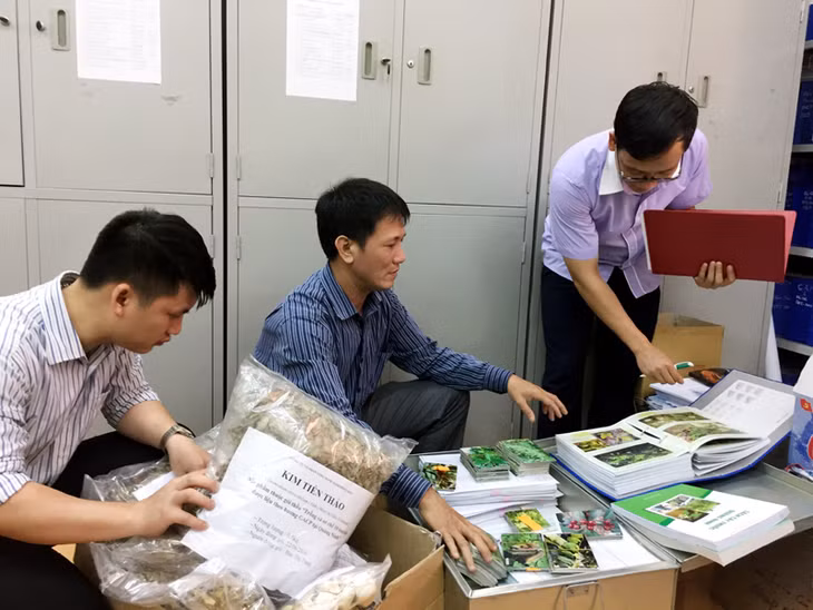 Chuyên viên Phòng Nghiệp vụ dược (Sở Y tế) kiểm tra, thống kê các sản phẩm đầu ra của Dự án “Điều tra, đề xuất quy hoạch trồng cây thuốc trên địa bàn tỉnh Quảng Ninh”.