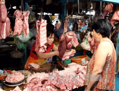 Thịt lợn giảm giá khiến người chăn nuôi lao đao. Ảnh: TTXVN
