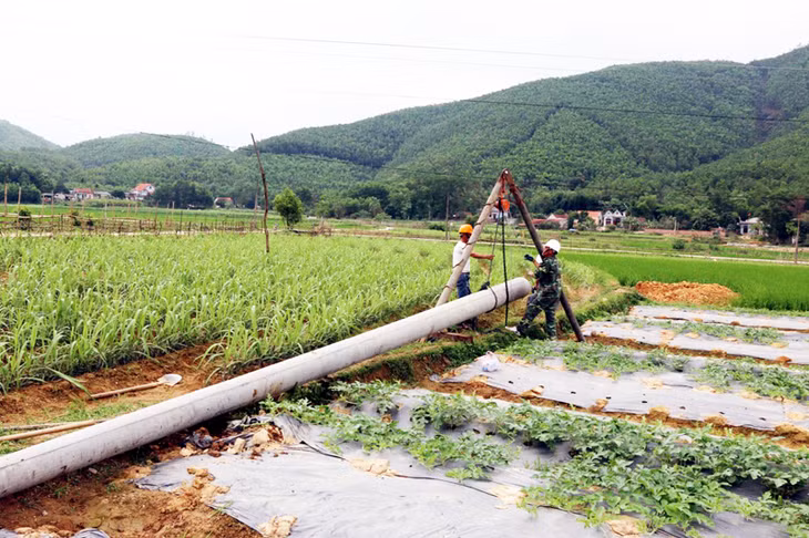 Dự án Cải tạo, nâng cấp lưới điện 22kV, đường dây 972 trung gian đoạn qua xã Sơn Dương, huyện Hoành Bồ đang được đẩy nhanh tiến độ, phấn đấu hoàn thành trước ngày 30-4.