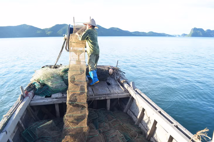 Trong chuyến kiếm tra đã phát hiện ngư dân đang sử dụng lồng bát quái để khai thác thủy sản