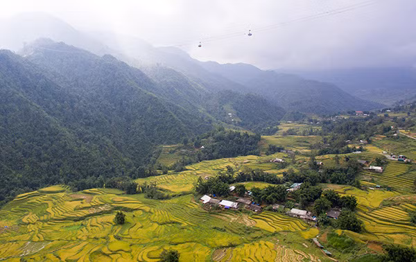 Những nếp nhà người Mông, người Dao... trong sắc vàng.