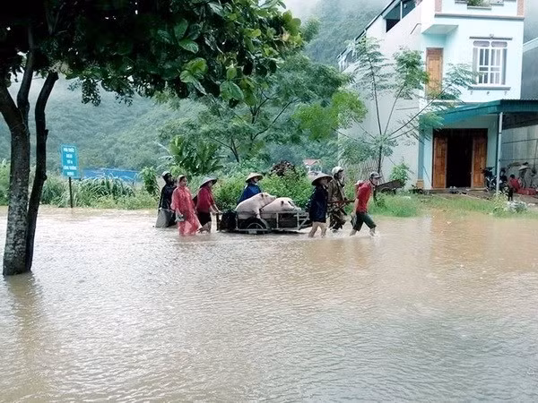 Người dân huyện Định Hóa di chuyển tài sản, vật nuôi tránh lũ. (Ảnh Thu Hằng/TTXVN)