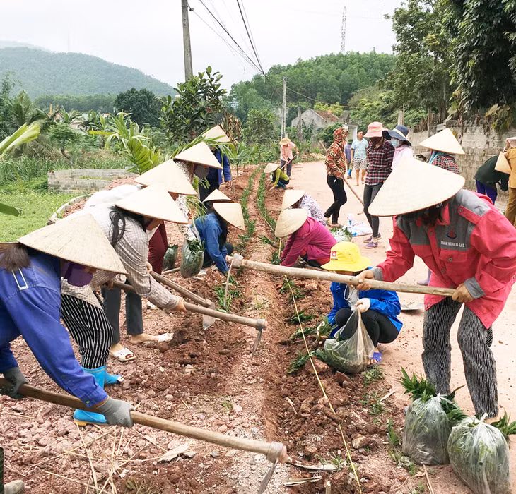 Cán bộ, nhân dân thôn Lâm Thành, xã Hải Lạng, huyện Tiên Yên, tích cực trồng cây xanh tạo cảnh quan môi trường, góp phần xây dựng NTM kiểu mẫu.