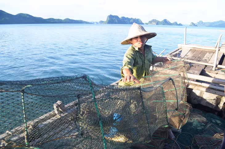 Sử dụng lồng bát quái để khai thác thủy sản là hành vi vi phạm quy định về bảo vệ nguồn lợi thủy sản