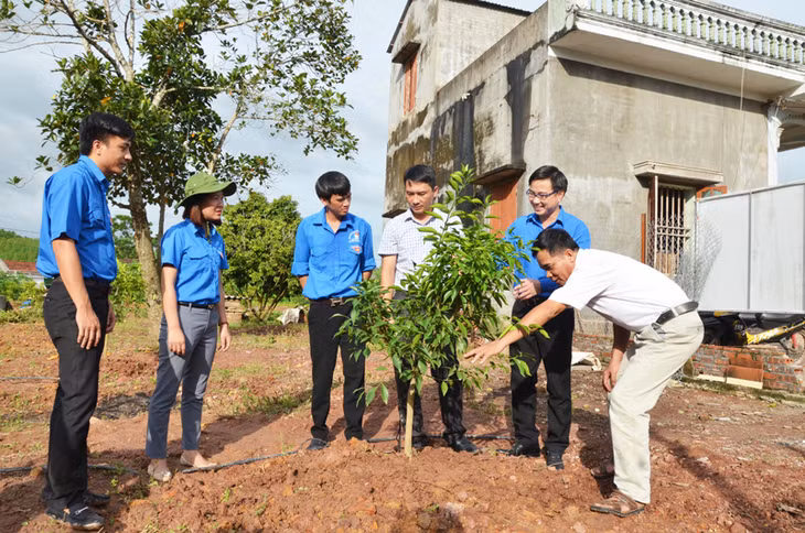 Lãnh đạo Tỉnh Đoàn, UBND xã Đông Hải và cán bộ Sở NN&PTNT trò chuyện, tư vấn cách chăm sóc cây cam cho anh Phan Đình Dương
