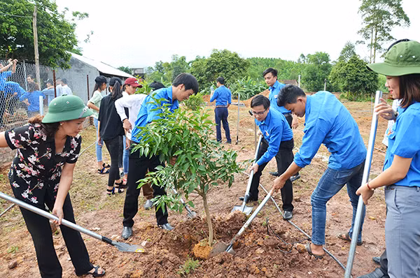 Lãnh đạo Tỉnh Đoàn và các ĐVTN huyện Tiên Yên tham gia trồng cây cam tại lễ ra mắt mô hình “vườn mẫu” thanh niên tham gia quản lý tại thôn Hội Phố, xã Đông Hải, huyện Tiên Yên.