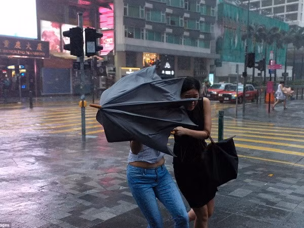 Bão Hato hoành hành. (Nguồn: Getty Images)