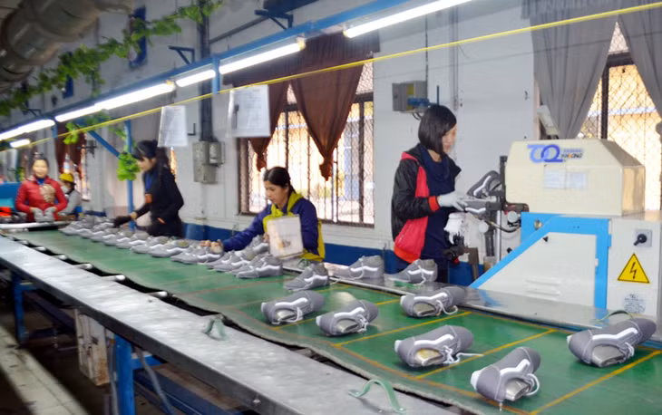 Dây chuyền sản xuất dày da khi còn hoạt động của Công ty TNHH Everbest Việt Nam (TP Cẩm Phả).