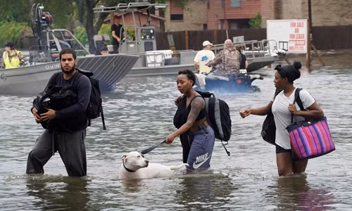 Người dân di chuyển qua một khu vực bị lụt ở thành phố Dickinson, Texas, ngày 27/8. Ảnh: Reuters.