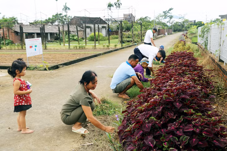 Người dân thôn 4, xã Quảng Minh, trồng, chăm sóc hàng cây bên đường.