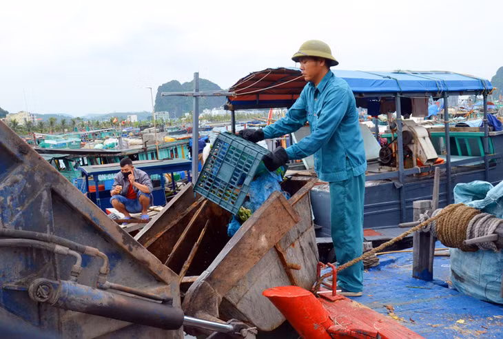 Công nhân Công ty CP Cây xanh công viên Quảng Ninh di chuyển rác thải thu gom trên Vịnh Hạ Long tới nơi xử lý.