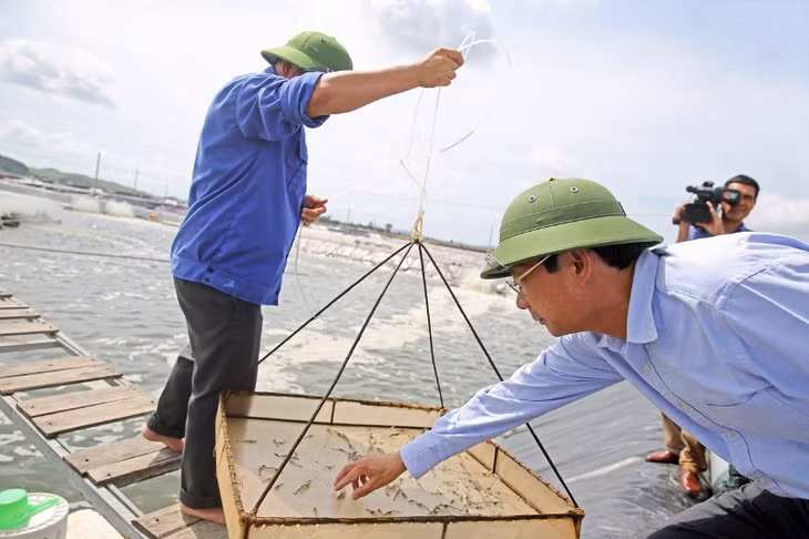 Trung tâm sản xuất giống công nghệ cao và nuôi thực nghiệm giống hải sản 