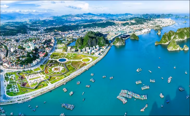 Bức ảnh 