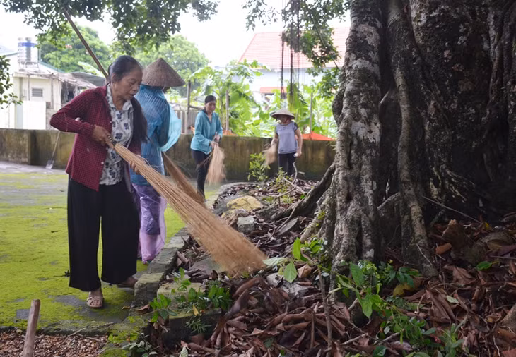 Dọn vệ sinh môi trường, diệt lăng quăng... là cách phòng chống bệnh SXH hiệu quả