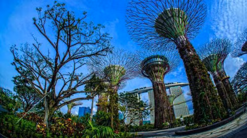  Garden by the Bay, một điểm đến thú vị ở đảo quốc Sư Tử. Ảnh: YS