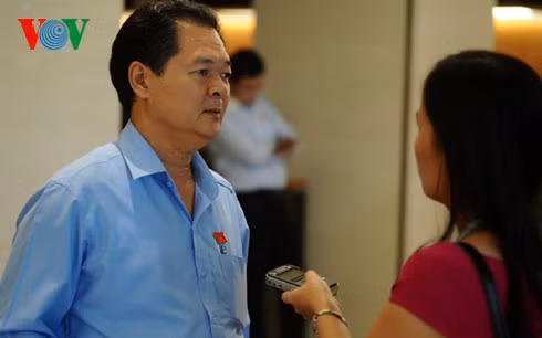 Đại biểu Trương Minh Hoàng (đoàn Cà Mau)
