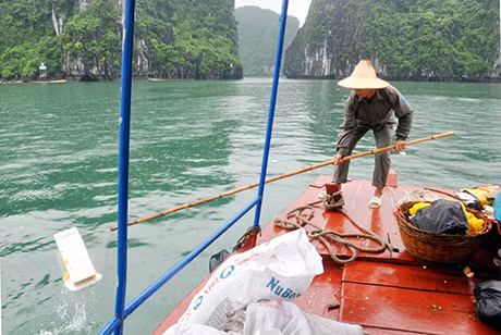 Điển hình là cán bộ, nhân viên BQL Vịnh thường xuyên duy trì hiệu quả việc thu gom rác thải trên Vịnh (ảnh 1) 