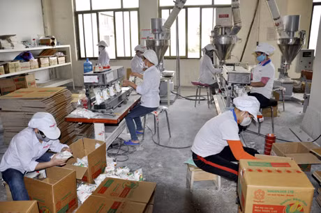 Đóng gói sản phẩm tại Nhà máy bột mỳ Vimafluor (Khu công nghiệp Cái Lân).
