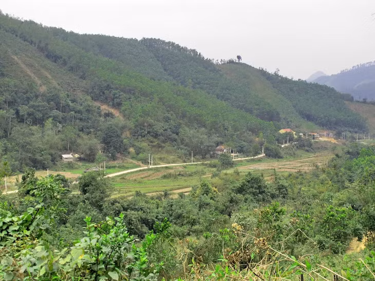 Một góc xã Đồng Lâm, Hoành Bồ. (Ảnh minh hoạ)