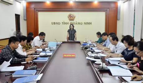 Đồng chí Vũ Thị Thu Thuỷ, Phó Chủ tịch UBND tỉnh phát biểu kết luận cuộc họp