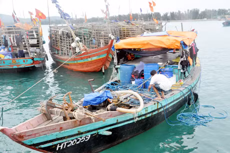 Tàu của ngư dân các tỉnh ngoài đến khai thác con móng tay theo cách huỷ diệt nguồn lợi tại vùng biển Cô Tô.