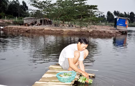 Từ nhiều năm nay, hơn chục hộ dân ở khu Núi Gạc thường xuyên phải dùng nguồn nước ao, đầm không đảm bảo vệ sinh để sinh hoạt hàng ngày.