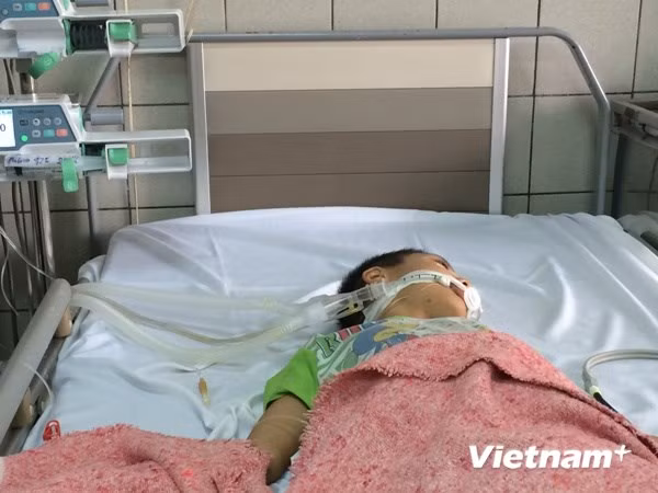 Bé Lực đã hồi phục sức khỏe trở lại sau khi được các bác sỹ cứu chữa. (Ảnh: PV/Vietnam+)