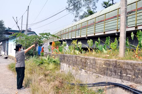 Nhà chị Phạm Thị Huệ ở tổ 10, khu 5, phường Quang Hanh (TP Cẩm Phả) nằm sát đường băng tải đá của Nhà máy Xi măng Cẩm Phả thường xuyên bị ảnh hưởng bởi tiếng ồn.