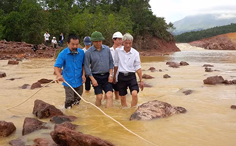 Lãnh đạo Bộ NN&PTNT, UBND tỉnh đã đi thực tế tại khu vực Đầm Hà Động.