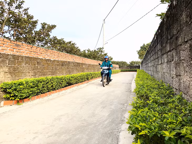 Từ khi thực hiện chương trình NTM kiểu mẫu, nhiều tuyến đường đã được người dân xây dựng thành tuyến đường mẫu xanh mát.