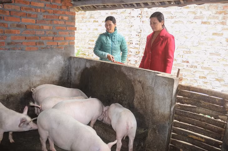 Chị Hoàng Thị Hạnh (bên phải) vận động các hộ trong thôn giữ vệ sinh chuồng trại hiệu quả.