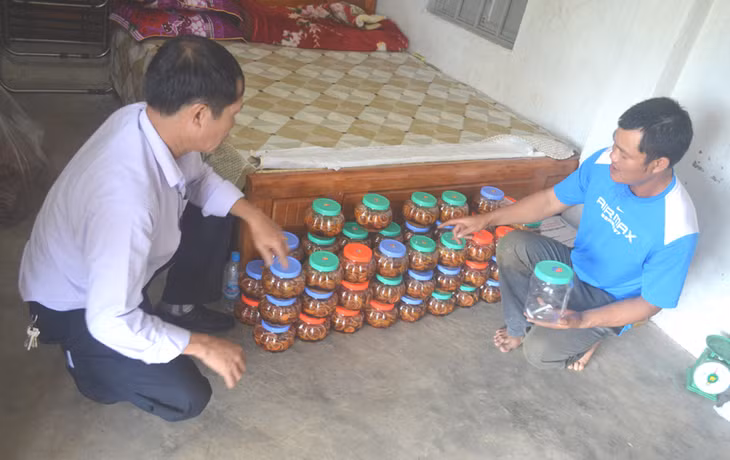 Anh Vũ Văn Thiết, xã Quảng Thành, huyện Hải Hà ngoài trồng chanh đào anh còn biết chế biến si rô chanh đào
