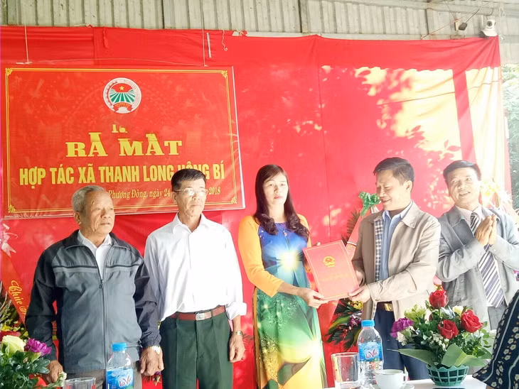 Lãnh đạo TP Uông Bí trao quyết định thành lập HTX Thanh long Uông Bí cho các thành viên HĐQT của HTX.