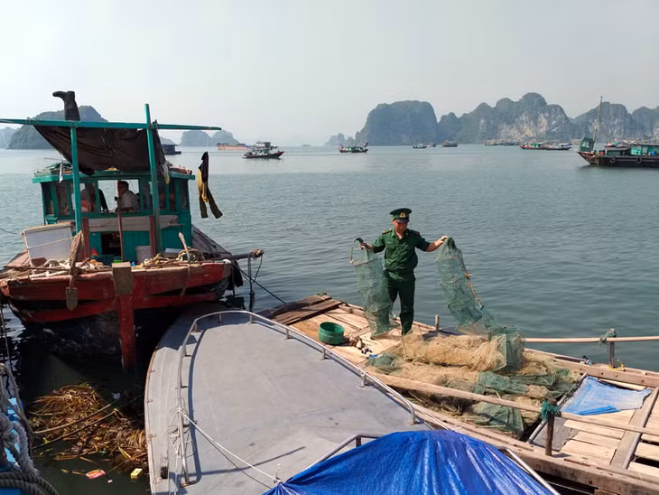 Hải đội 2 Biên phòng tỉnh phát hiện, bắt giữ một số phương tiện sử dụng công cụ khai thác thủy sản bằng hình thức tận diệt. Ảnh: Quang Minh