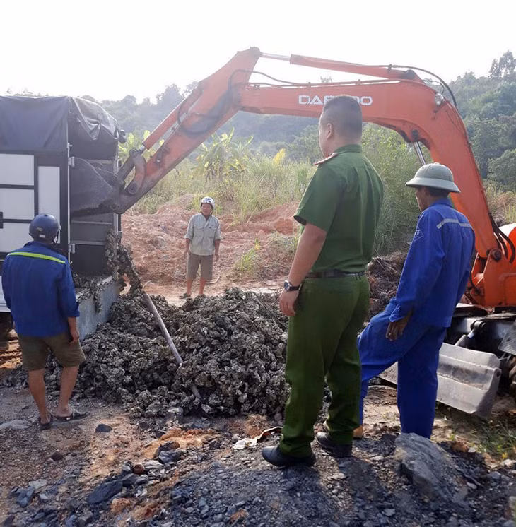 Công an TP Hạ Long tiêu hủy 50.000 dây hàu giống không rõ nguồn gốc. 